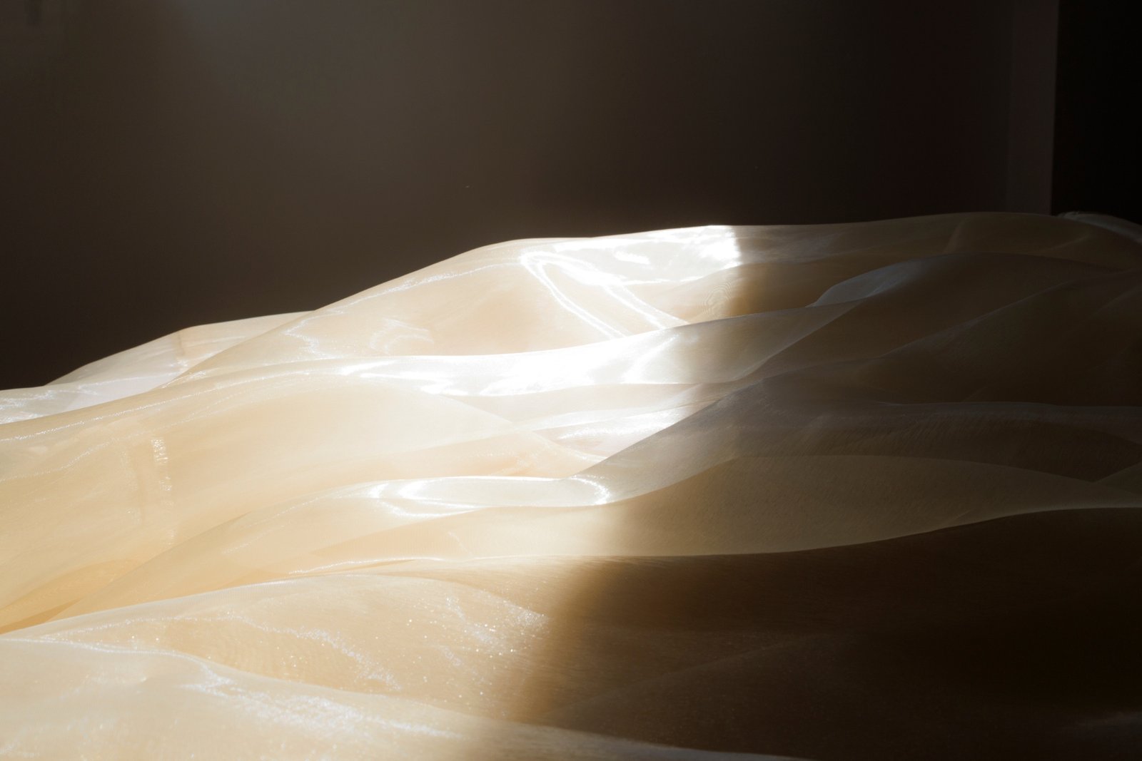 Dorina Bogre Photographer Golden Dreams