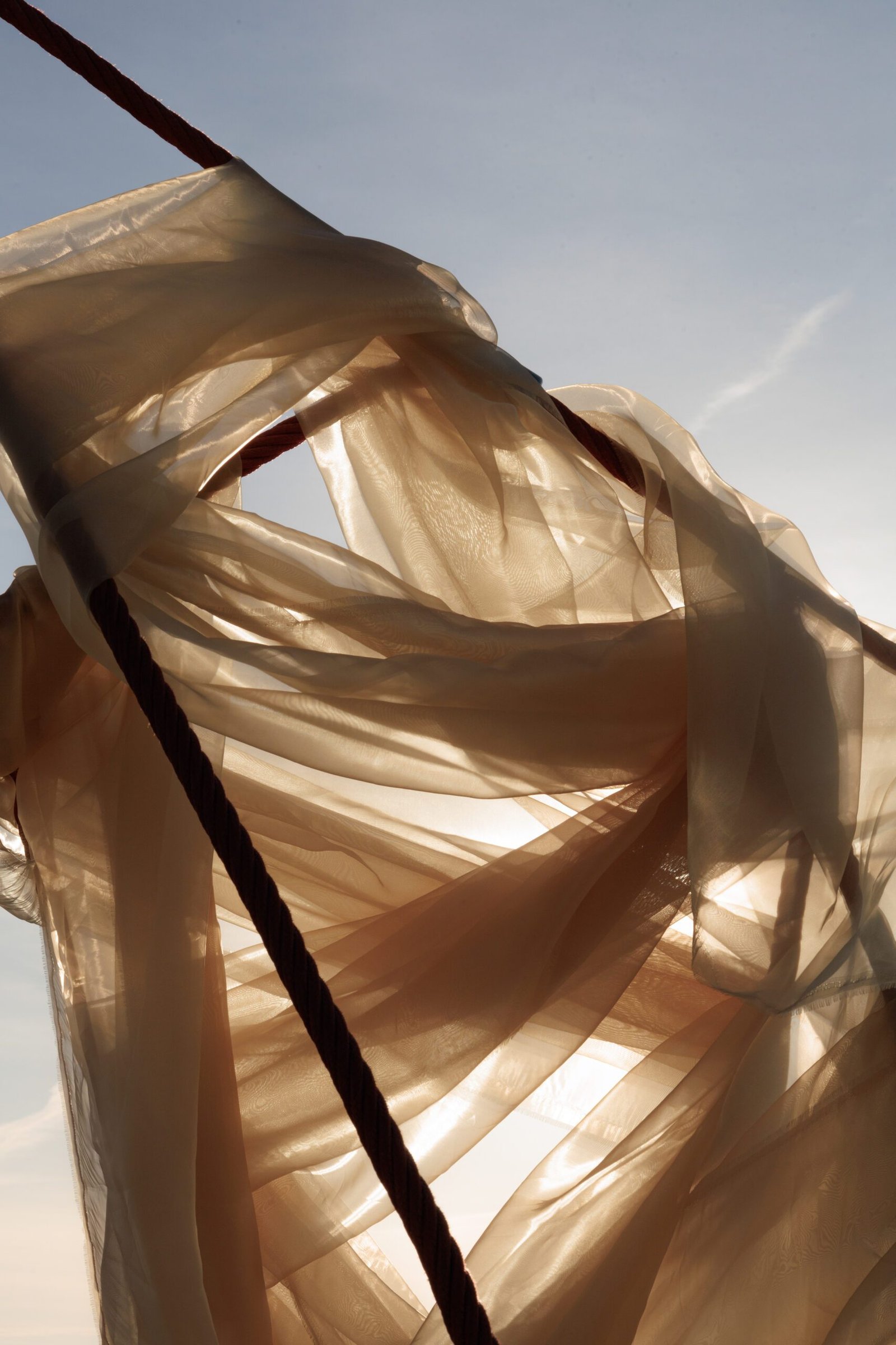 Dorina Bogre Photographer Golden Dreams