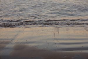 Dorina Bogre Photographer Golden Dreams